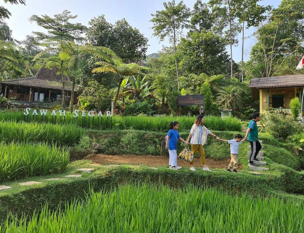 3 Tempat Makan Dengan View Sawah di Kawasan Bogor