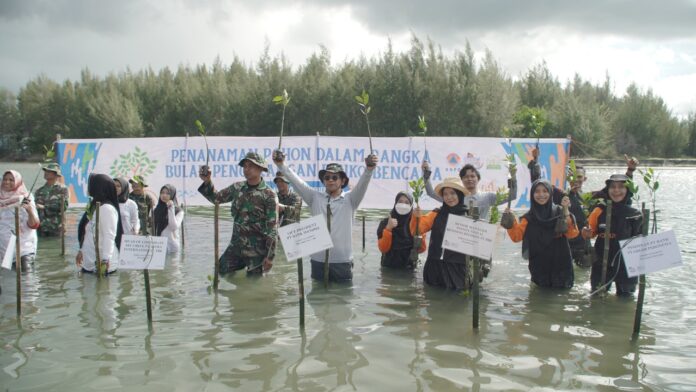 Dompet Dhuafa tanam mangrove