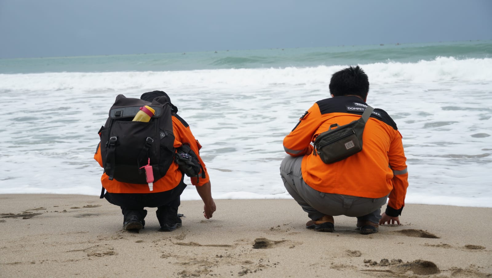 Pelepasan tukik di Saung Konservasi Penyu Pacitan. Foto: Dok. Dompet Dhuafa