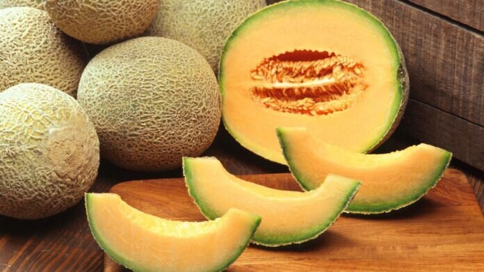Gambar buah Melon
