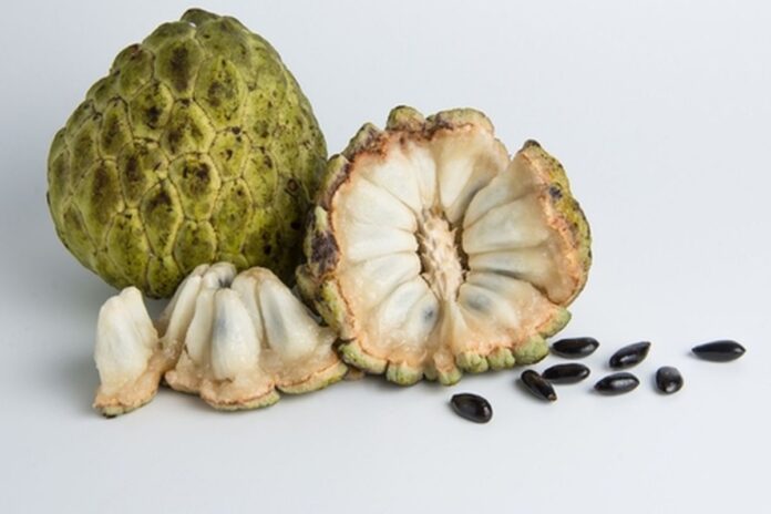 Buah Srikaya