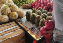 Musim Hujan Sudah Tiba, Berikut Tips agar Terhindar Penyakit