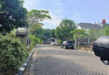 Ingin Manfaatkan Pekarangan, Berikut Lima Tanaman Bernilai Ekonomi