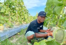 Mas Edi Sukro: Menanam Harapan, Menuai Inspirasi dari Bumi Banyuwangi