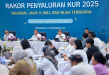 Kementerian UMKM Percepat Penyaluran KUR 2025 untuk Perkuat Daya Saing UMKM