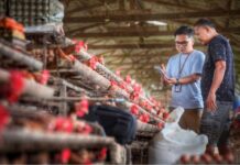 Indeks Bisnis UMKM BRI Triwulan II 2026: Ketahanan UMKM Terjaga, Ditopang Optimisme Prospek Usaha
