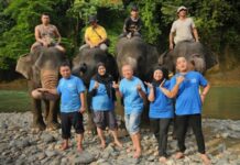#BanggaPalingIndonesia Memaknai Kedigdayaan Indonesia lewat Budaya, Perjalanan, dan Cerita