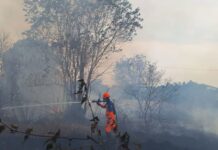 Wamendagri Wiyagus Tekankan Peran Krusial Forkopimda Tangani Karhutla di Kaltim