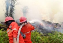 Pemanfaatan Dry Ice untuk Urai Kabut Asap Karhutla di Sumatra-Kalimantan