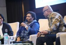 Pemanfaatan Energi Terbarukan untuk Perluas Akses Listrik Daerah 3T, Wamendagri Ribka Ingatkan soal Regulasi